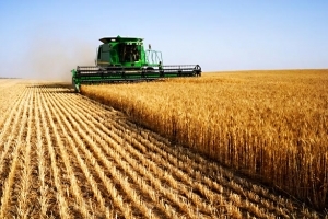 В Крыму разработают инвестпроекты для привлечения инвесторов в сельское хозяйство